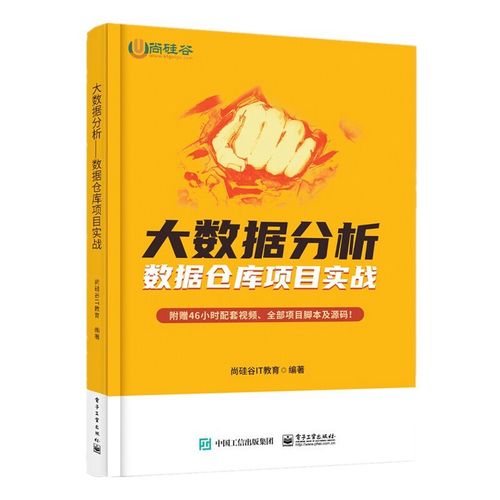 大数据分析 数据仓库项目实战/剑指大数据 flink学习精要